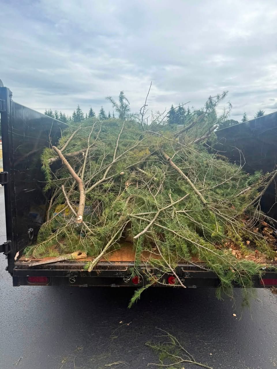 Trailer carrying tree branches and yard debris